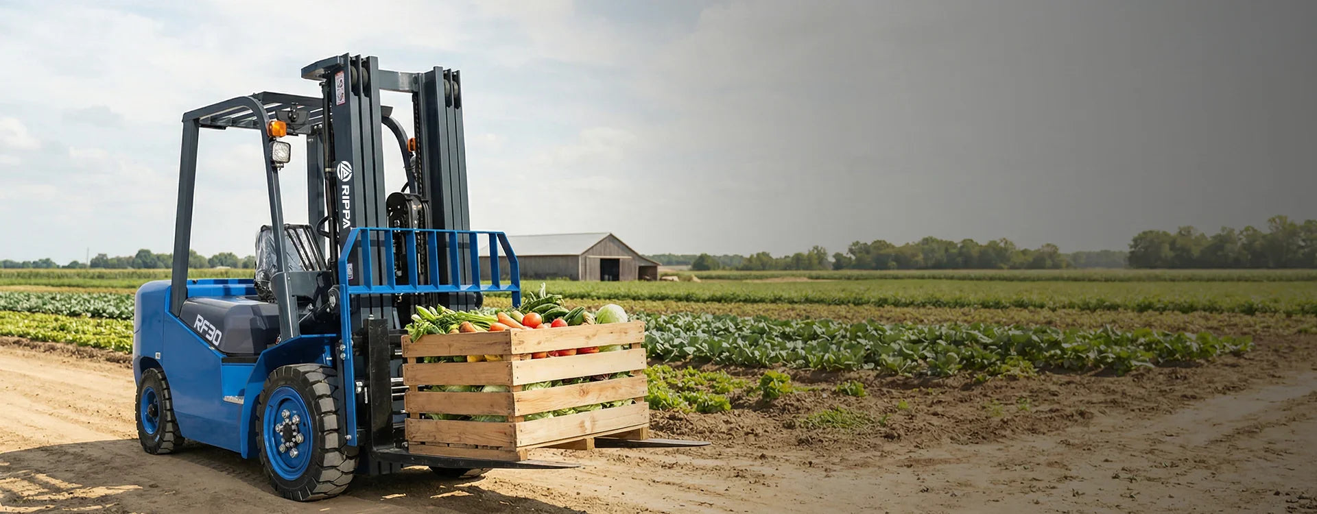 Fuel forklift