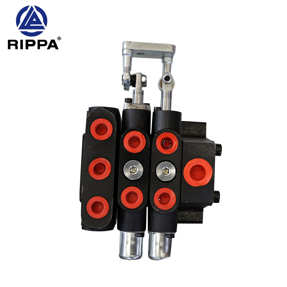 R10-5XDLGS\R10-5XDJBTS\R10-5JXLGS\R10-5JXJBTS 100-2 arm-slewing two-way valve [LP0101030062]
