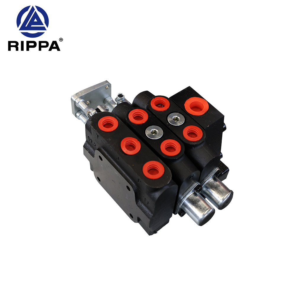 R10-5XDLGS\R10-5XDJBTS\R10-5JXLGS\R10-5JXJBTS 100-2 arm-slewing two-way valve [LP0101030062]