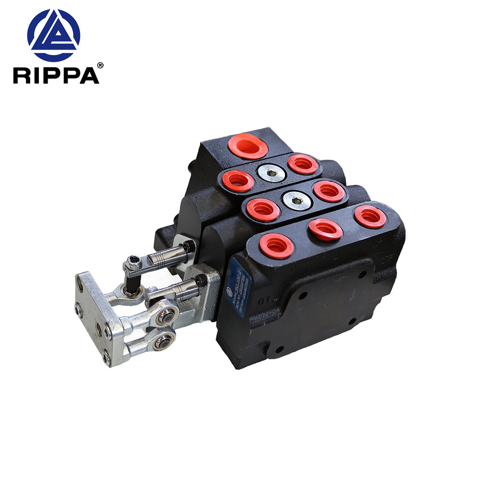 R10-5XDLGS\R10-5XDJBTS\R10-5JXLGS\R10-5JXJBTS 100-2 arm-slewing two-way valve [LP0101030062]