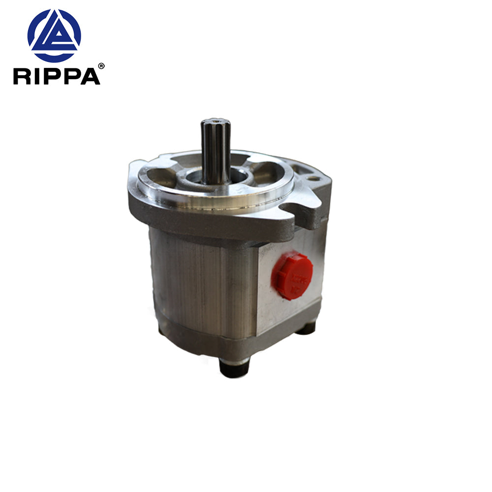 R10-5JXJBT\R10-5XDJBTS\R10-5XDJBT Popular science gear pump [LP0101010004]