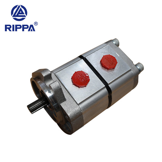 Skid Steer Loader RS03 Dual Gear Pump[LP0602010008]
