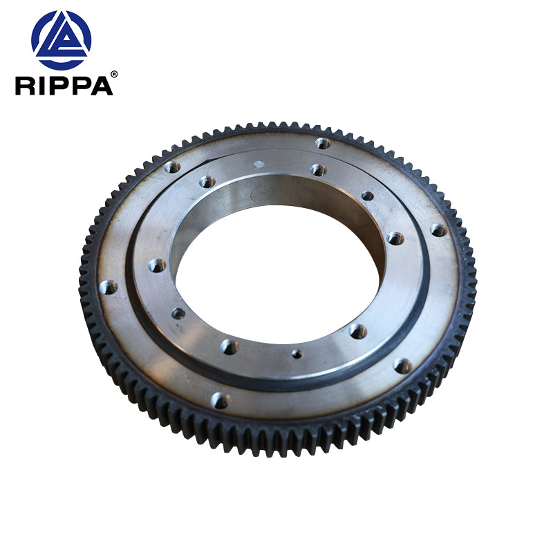 Slewing bearing[LP0102040001]