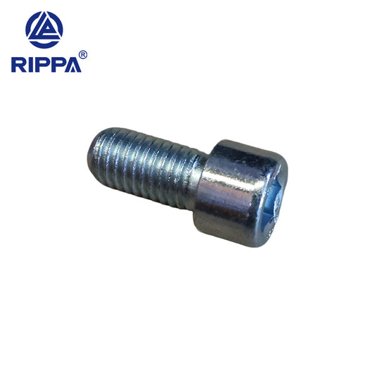 R18 Hexagon socket bolt-M10x1.5-20-8.8-silver zinc [LP0116012526]