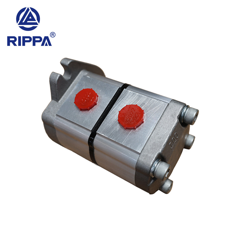 Skid Steer Loader RS03 Dual Gear Pump[LP0602010008]