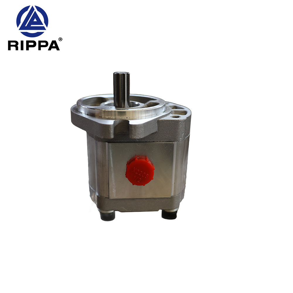 R10-5JXJBT\R10-5XDJBTS\R10-5XDJBT Popular science gear pump [LP0101010004]