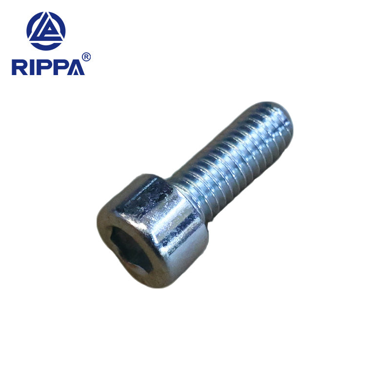 R18 Hexagon socket bolt-M6x1-16-8.8-silver zinc [LP0116011801]