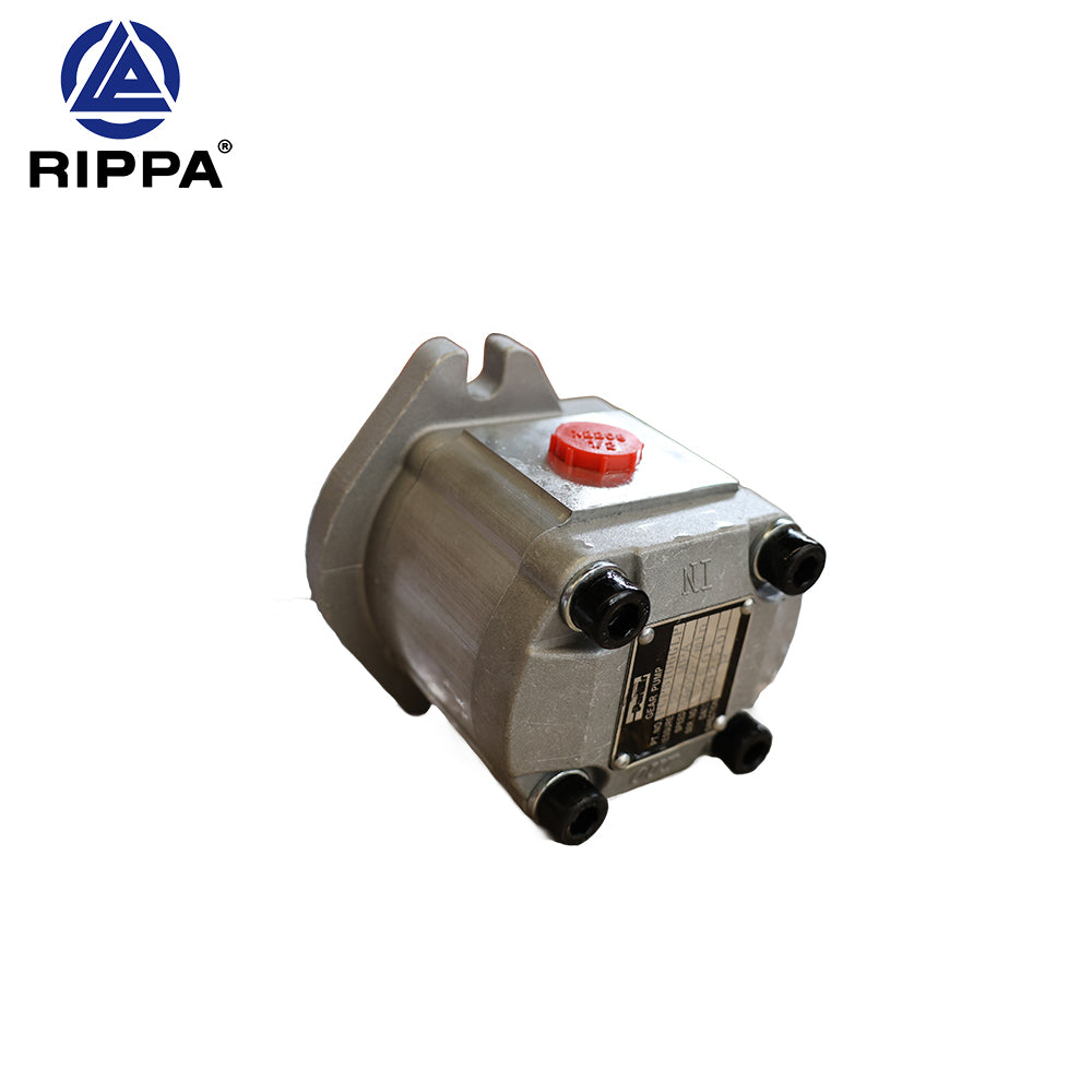 R10-5JXJBT\R10-5XDJBTS\R10-5XDJBT Popular science gear pump [LP0101010004]