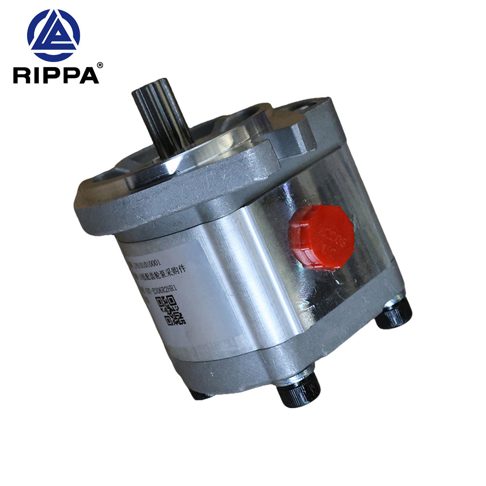 R10-5JXLG\R10-5XDLGS\R10-5XDLG\R10-5JXLGS Low-profile gear pump [LP0101010001]