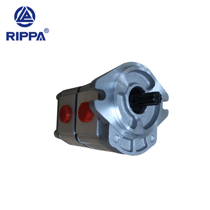 Skid Steer Loader RS03 Dual Gear Pump[LP0602010008]