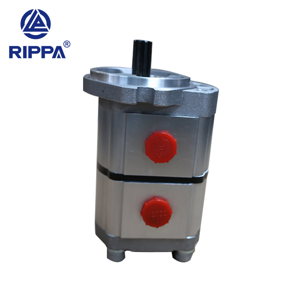 Skid Steer Loader RS03 Dual Gear Pump[LP0602010008]