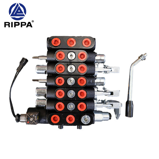 R10-5XDLGS\R10-5XDJBTS\R10-5XDLG\R10-5XDJBT 100-2 five-way (double crushing) multi-way valve [LP0101030060]