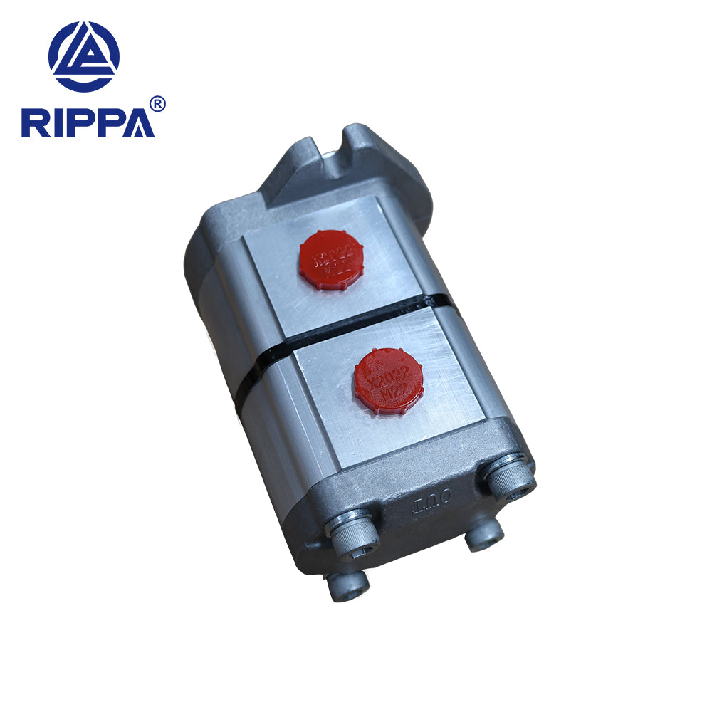 Skid Steer Loader RS03 Dual Gear Pump[LP0602010008]