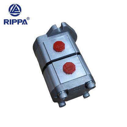 Skid Steer Loader RS03 Dual Gear Pump[LP0602010008]