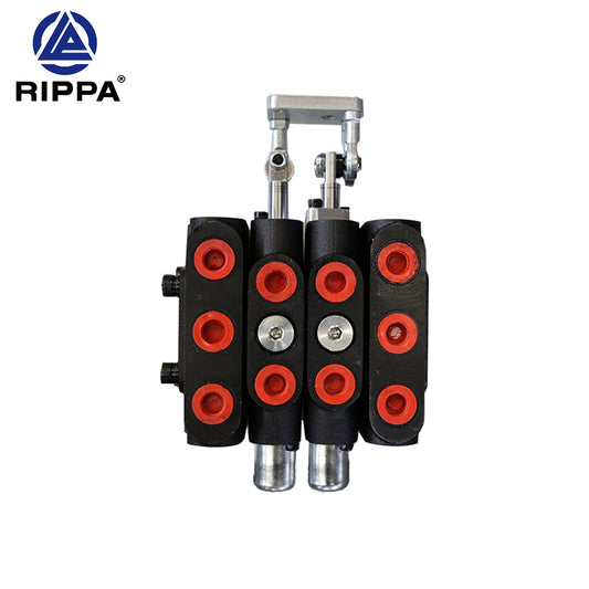 R10-5XDLGS\R10-5XDJBTS\R10-5XDLG\R10-5XDJBT 100-2 boom-bucket two-way valve [LP0101030061]
