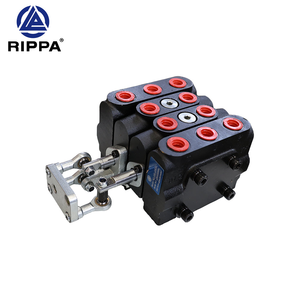 R10-5XDLGS\R10-5XDJBTS\R10-5XDLG\R10-5XDJBT 100-2 boom-bucket two-way valve [LP0101030061]