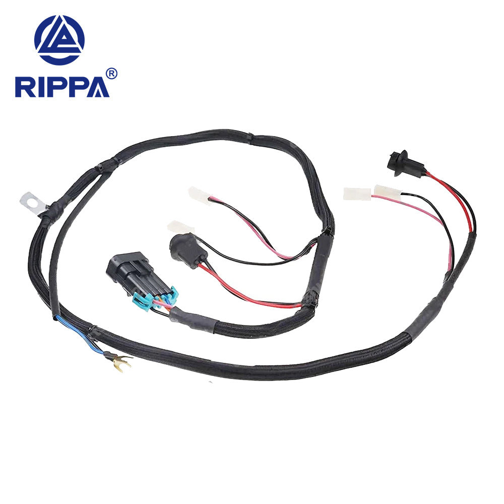 Skid Steer Loader RS03 Runtong Complete Wiring Harness[LP0604010008]