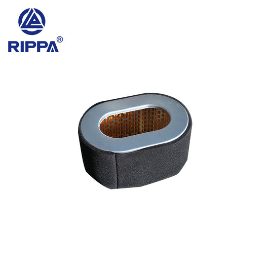 R10-5JXLG\R10-5XDLGS\R10-5XDLG\R10-5JXLGS Toolbox 10 Air Filter [LP0116020004]